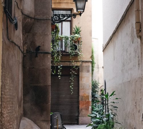 yoga retreats barcelona - centre Yogaweeks