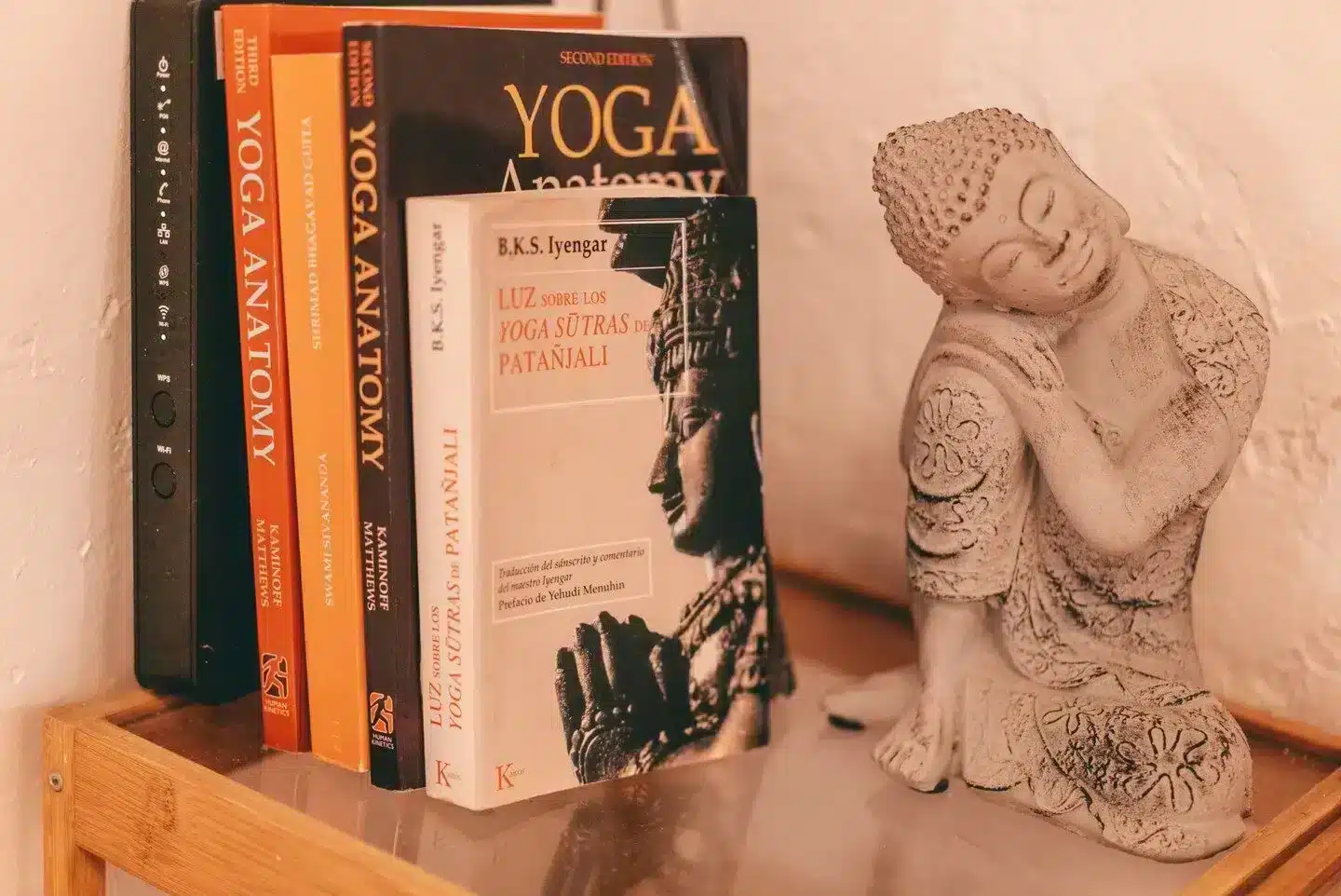 "Yoga is the cessation of movements in the consciousness.
 Then the seer dwells in his own true splendour.”
B.K.S. Iyengar
Light on the Yoga Sutras of Patanjali