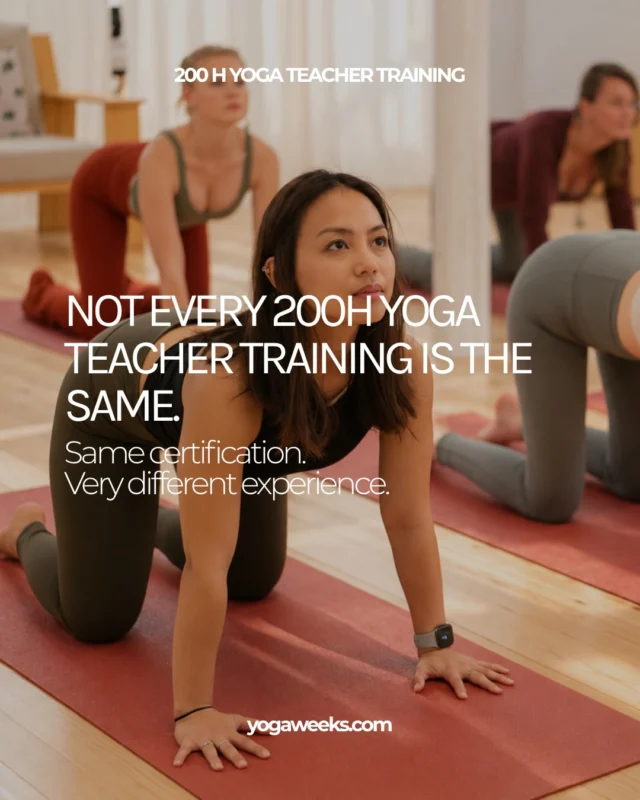 200 hours can give you a certification. But what happens during those 200 hours matters.At Yoga Weeks, we believe learning to teach requires more than listening, taking notes and practising asana.It requires practising. Teaching. Making mistakes. Receiving feedback. Trying again.
That’s why our November YTT is limited to 14 students.So there’s space to ask questions. Space to practise. Space to be seen. And space to grow.200h Yoga Teacher Training · Barcelona November 1st — December 1st 
✓ Yoga Alliance certified and limited spots availableExplore the full programme through the link in bio.#yogateachertraining #yogateacher #yogaalliance #yogabarcelona #yoga